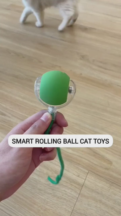 Smart Interactive Rolling Cat Toy – USB Rechargeable